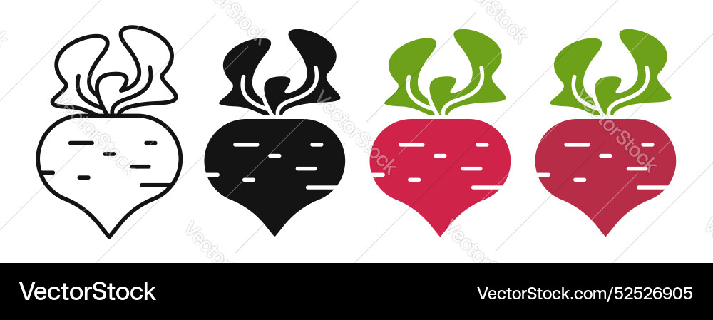 Beetroot thin line icon set Royalty Free Vector Image