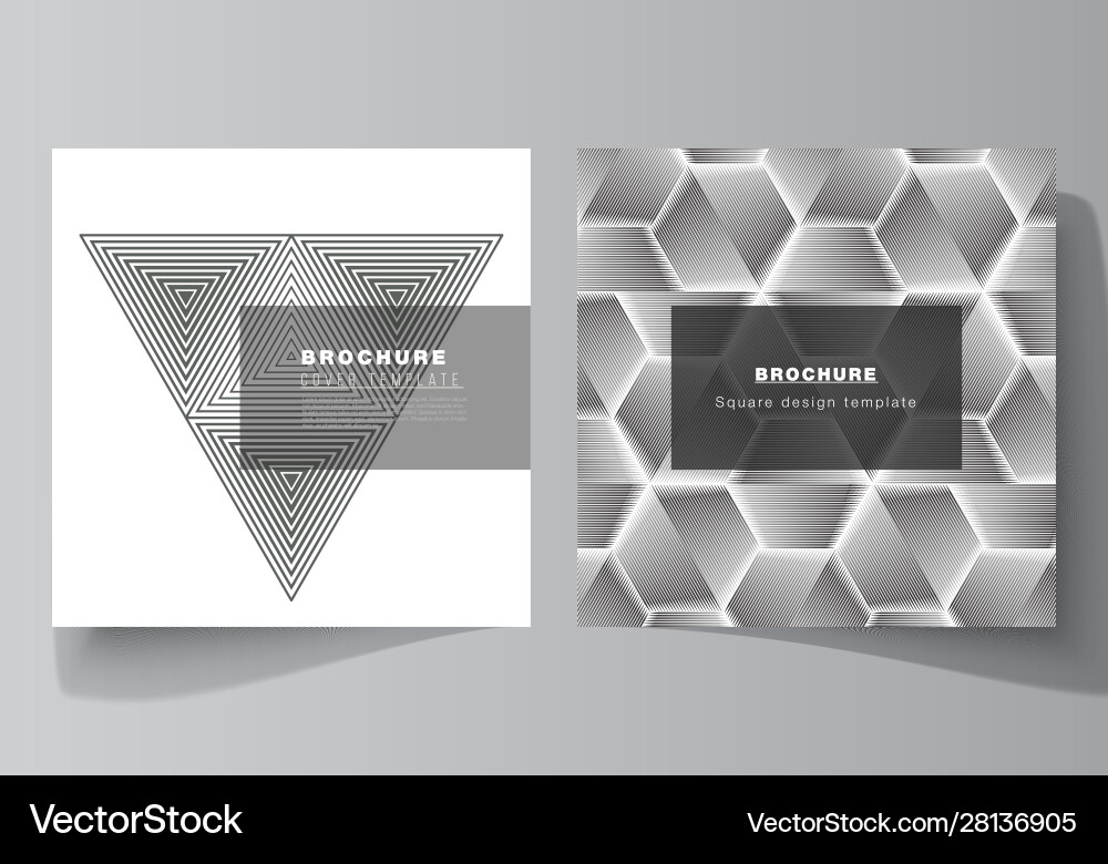 Minimal editable layout Vector Image