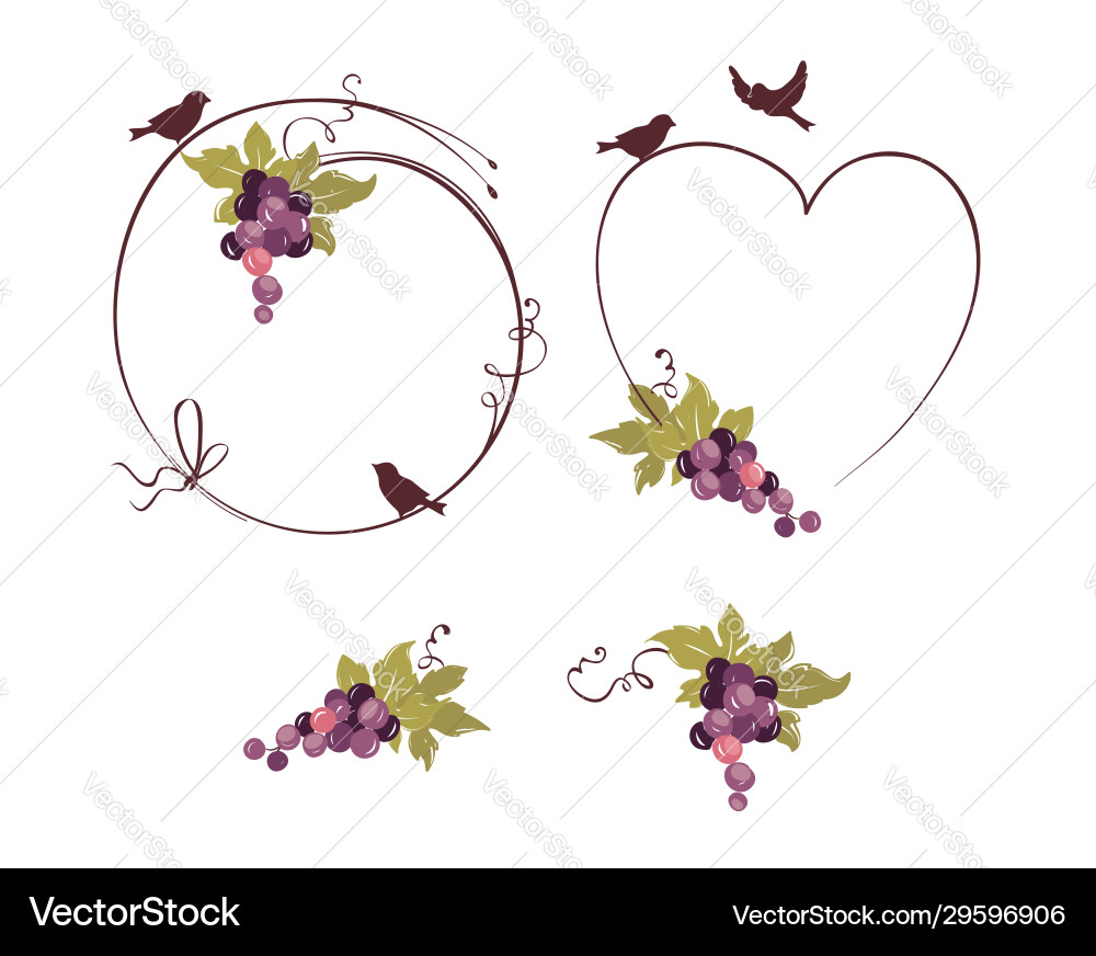 Frame from grapes and bird Frame from grapes and bird vector image