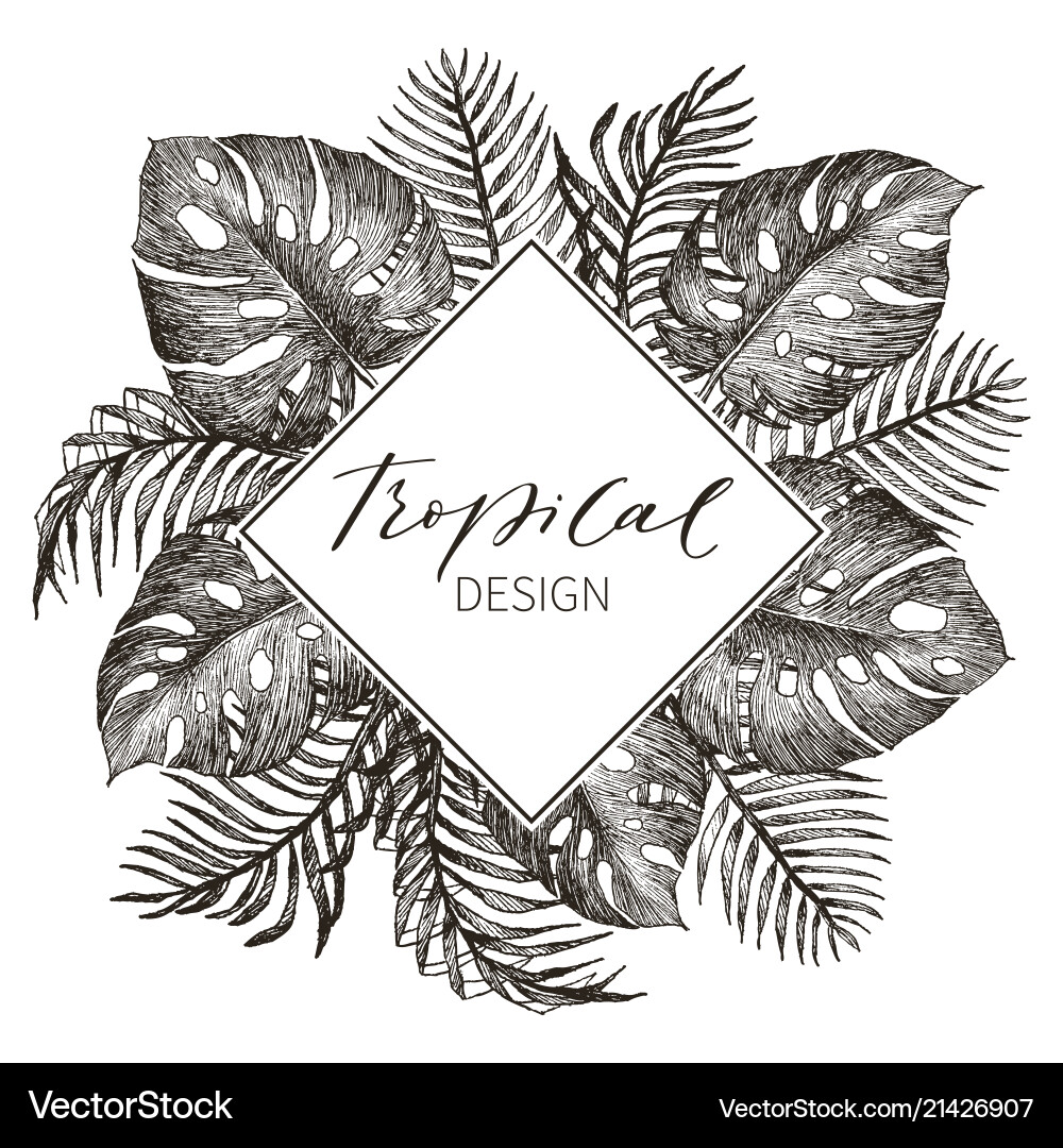 Tropical palm leaves jungle round vector image