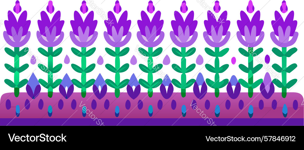 Lavender fields icon design generative ai Vector Image