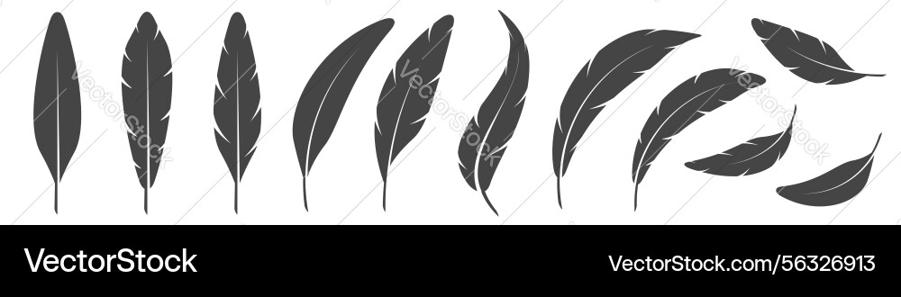 A set of bird feathers different shapes A set of bird feathers different shapes vector image