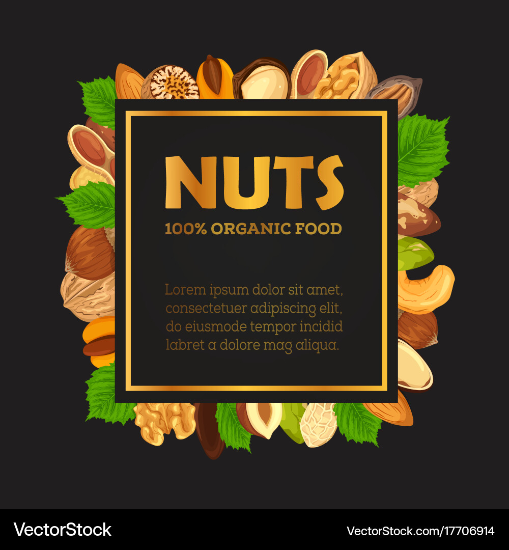 Nut banner with kernel and shell sign vector image