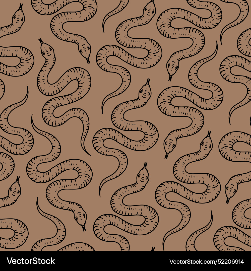 Seamless pattern with snakes Vector Image