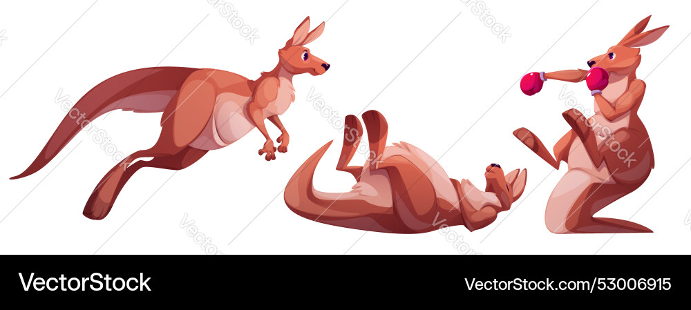 Kangaroo characters set on white background Kangaroo characters set on white background vector image