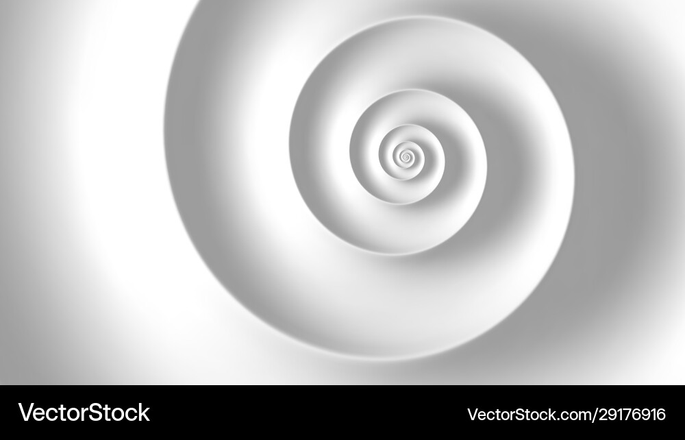 Fibonacci spiral white abstract background Fibonacci spiral white abstract background vector image