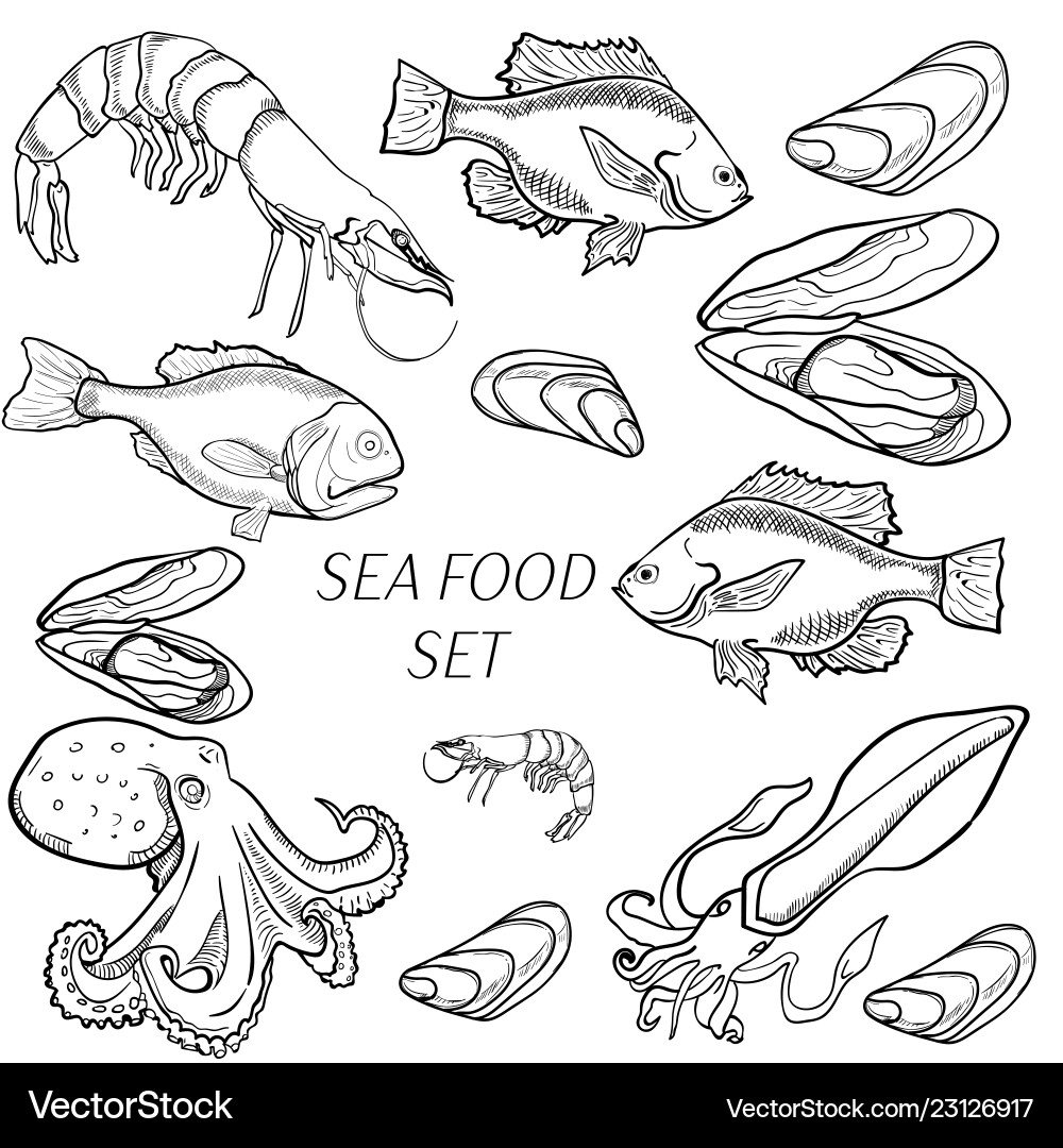 Set of sea food products vector image