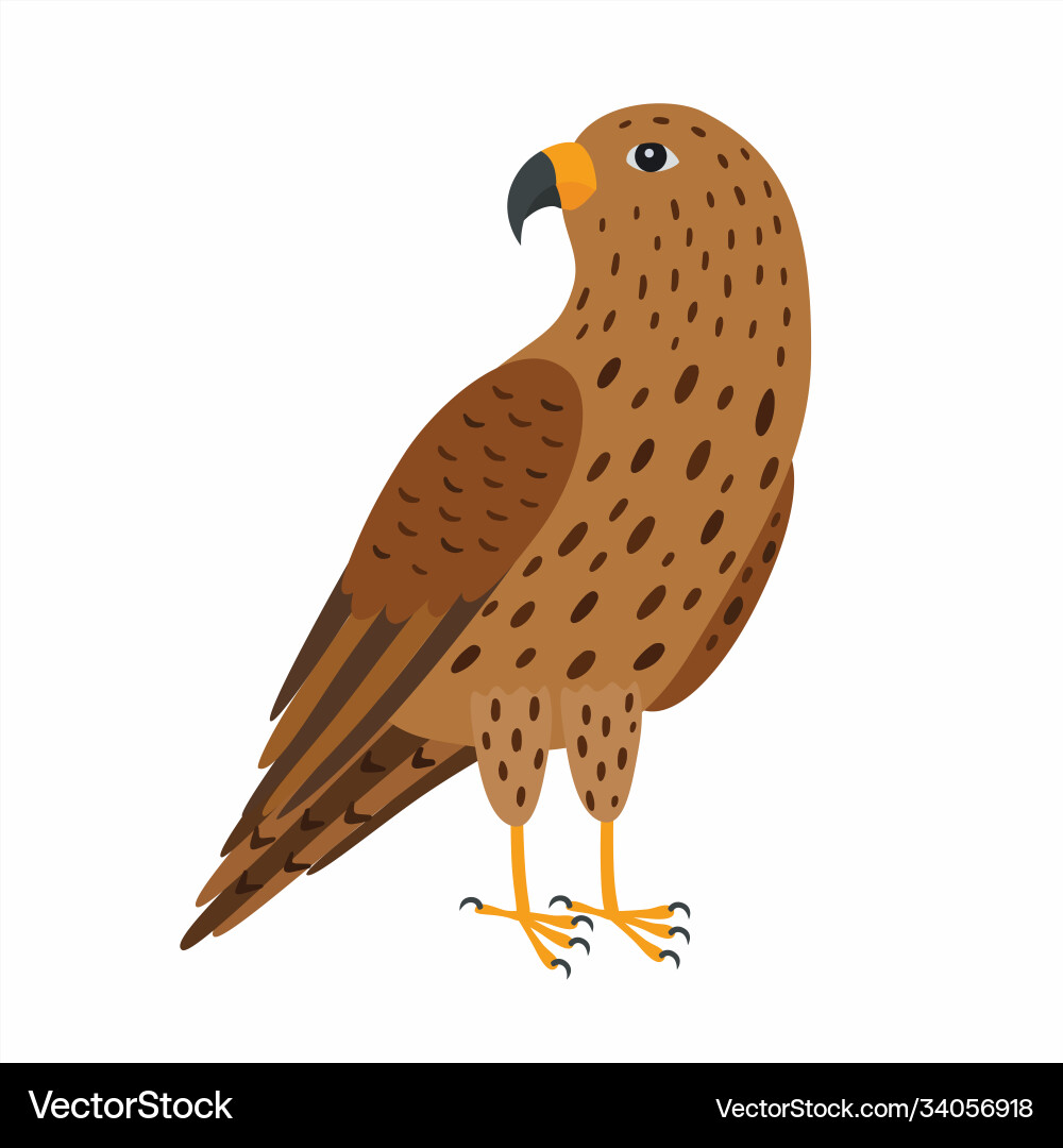 Falcon bird isolated on white Royalty Free Vector Image