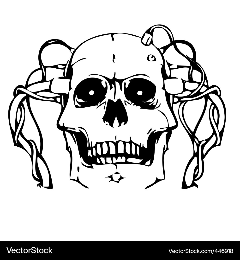 Skull Vector Image