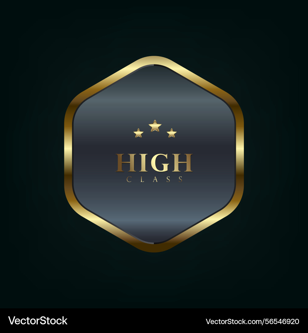 A premium polygon button used in ui ux vector image