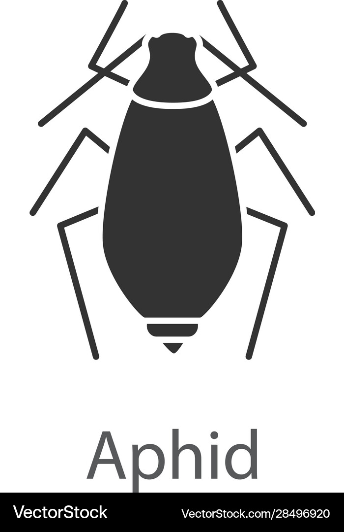 Aphid Vector Images (over 660)
