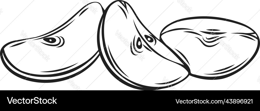 Apple slices outline icon hand drawn line fruit Apple slices outline icon hand drawn line fruit vector image