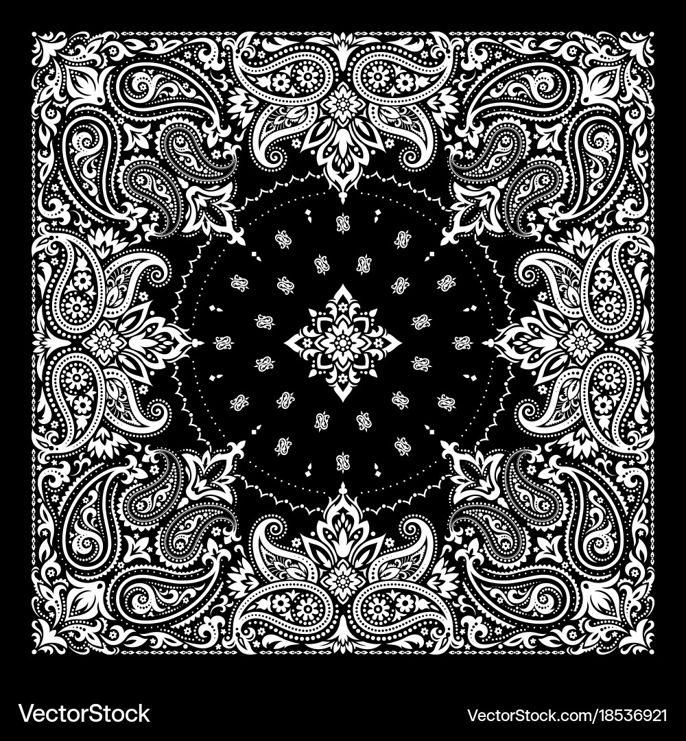Paisley Bandana Print Vector Image