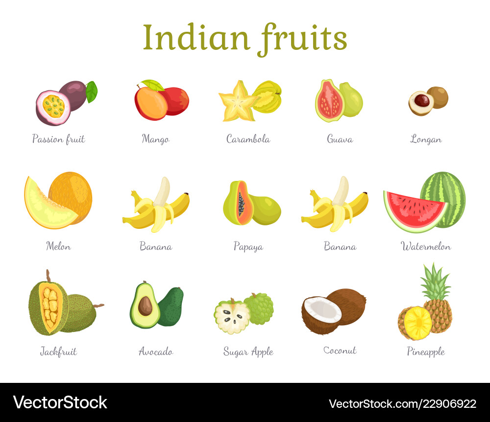 Indian fruits set india food Indian fruits set india food vector image