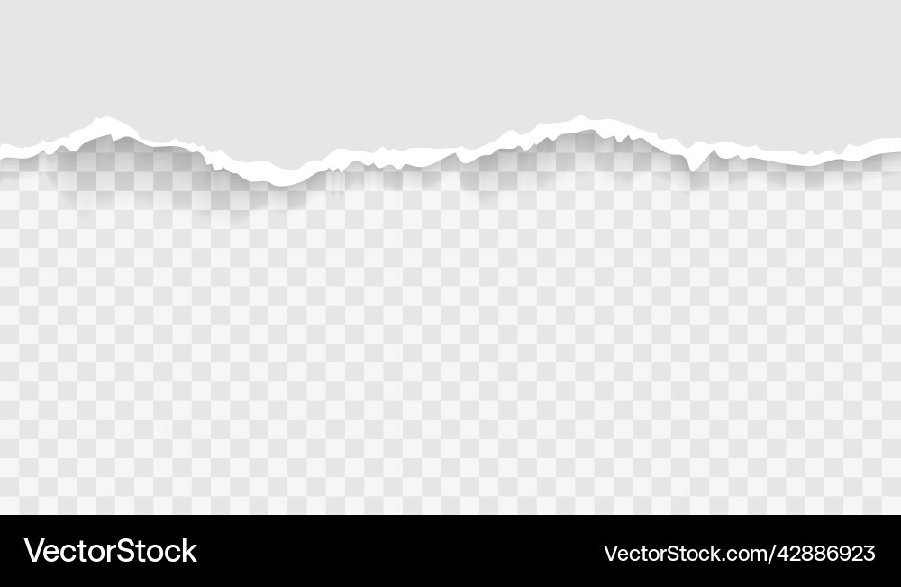 Torn paper with ripped edges and soft shadow Torn paper with ripped edges and soft shadow vector image