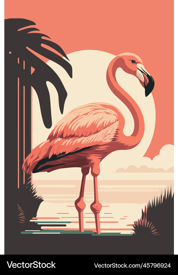 Flamingo of a at sunset Vector Image