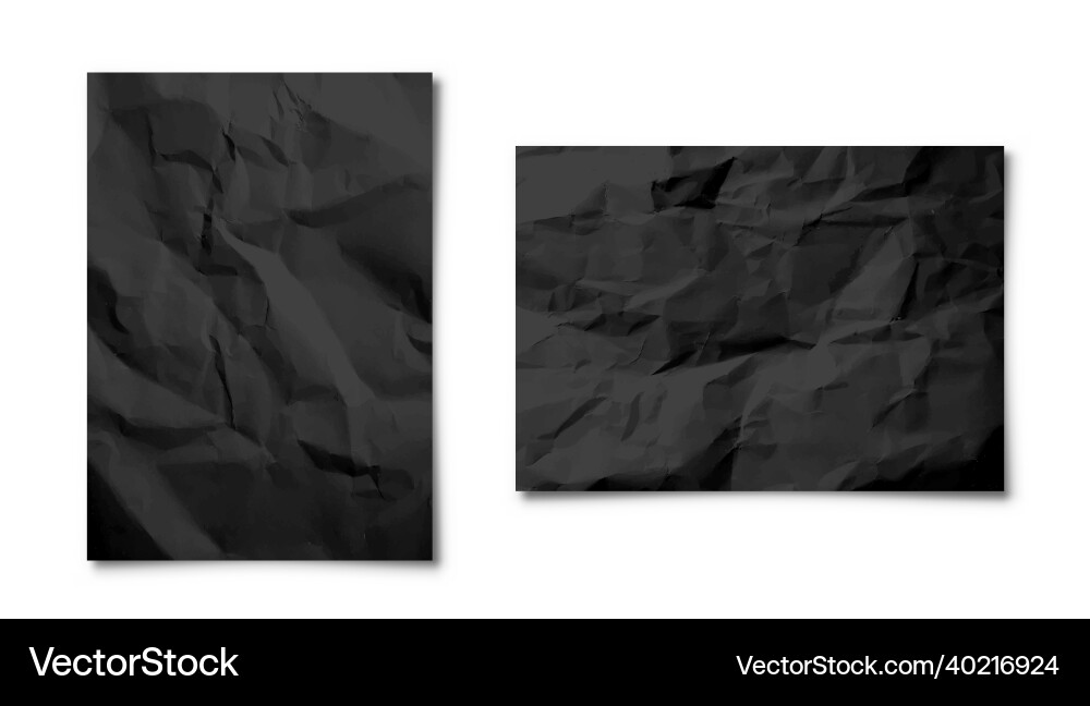 Realistic blank crumpled paper sheets in a4 size vector image