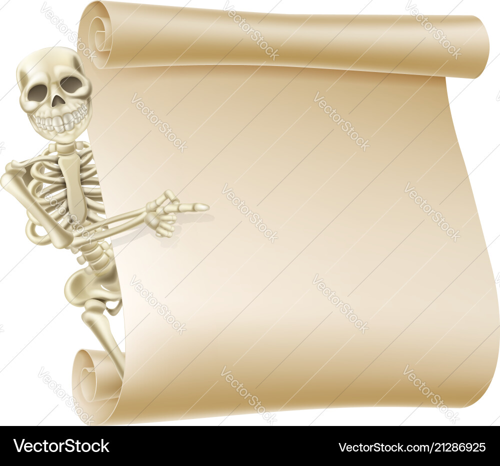 Halloween skeleton scroll Halloween skeleton scroll vector image