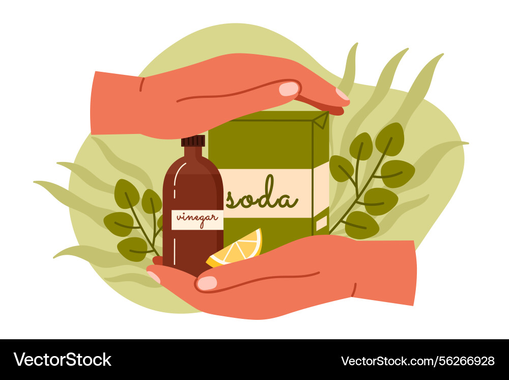 Eco friendly cleaning products hands holding Eco friendly cleaning products hands holding vector image