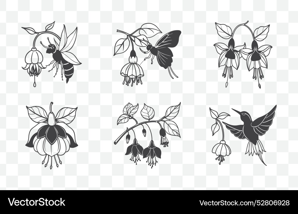 Print fuchsia flower line art set elegant vector image