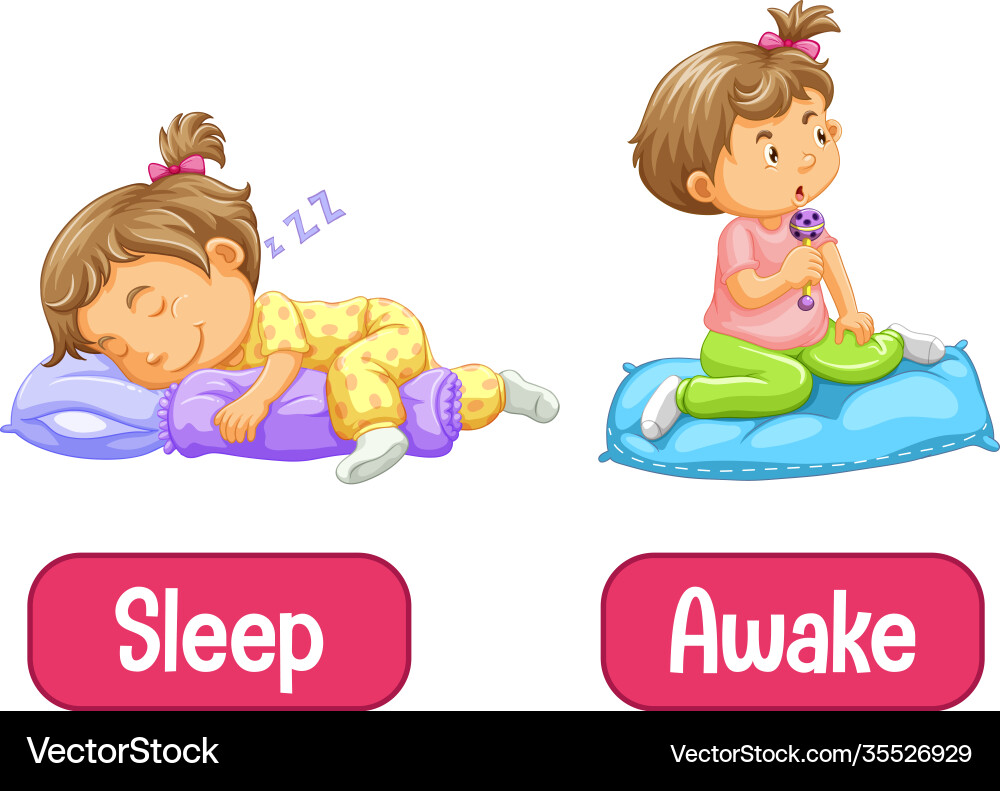 Opposite words with awake and sleep Opposite words with awake and sleep vector image