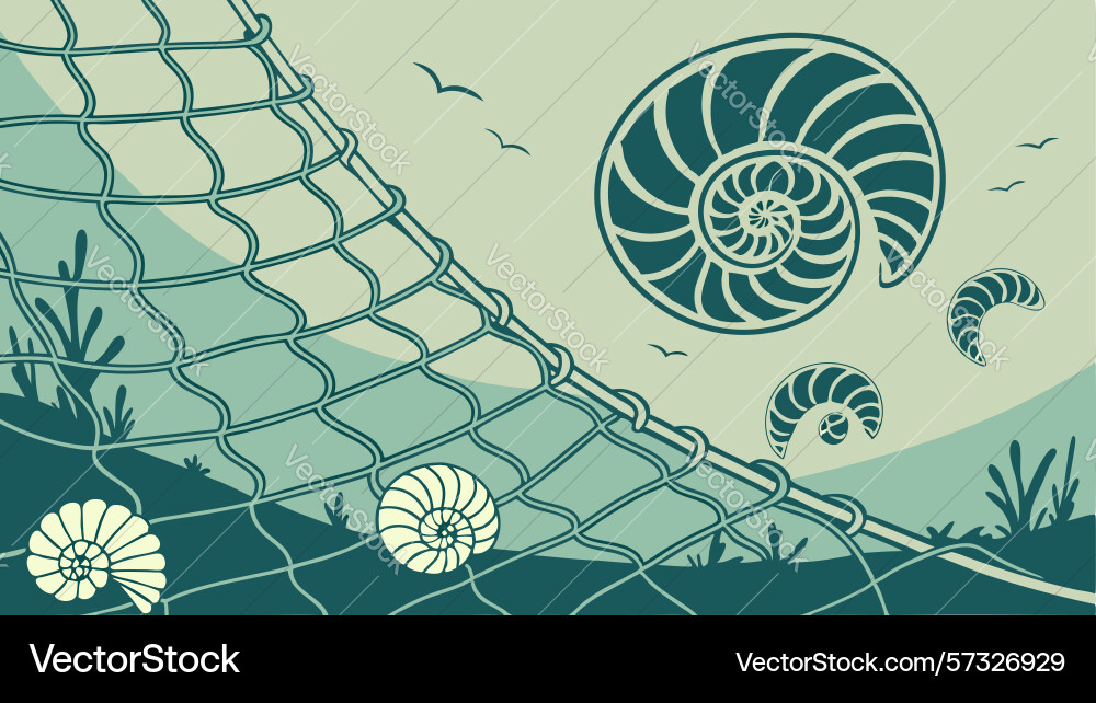 Spiral shell in spiderweb abstract aquatic net vector image