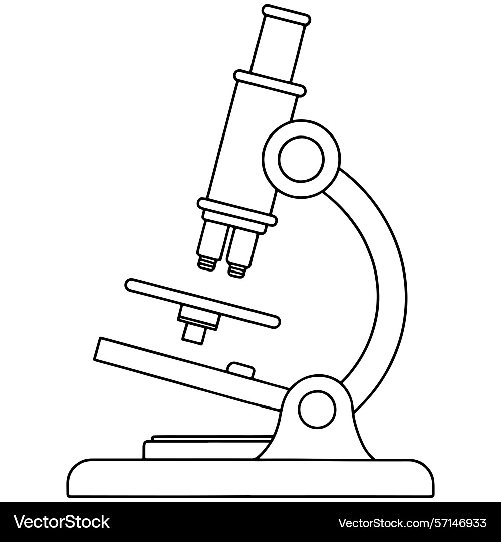 Simple line drawing of a microscope for science vector image