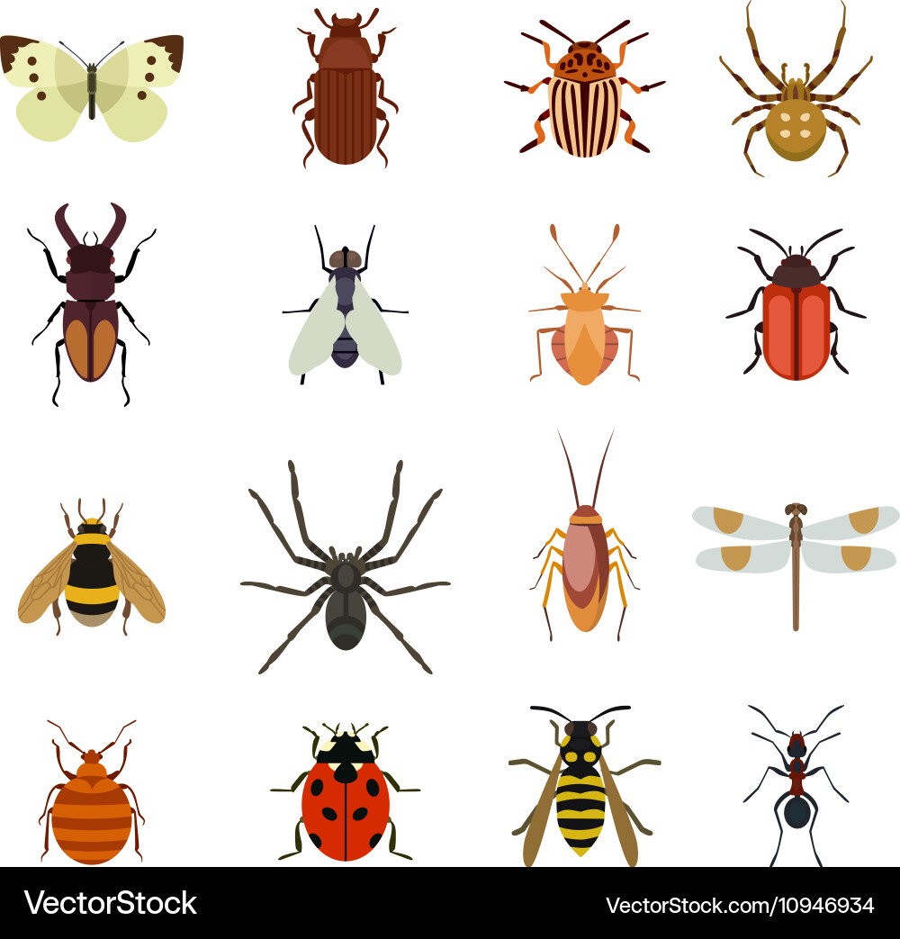 Insects icons flat set Royalty Free Vector Image