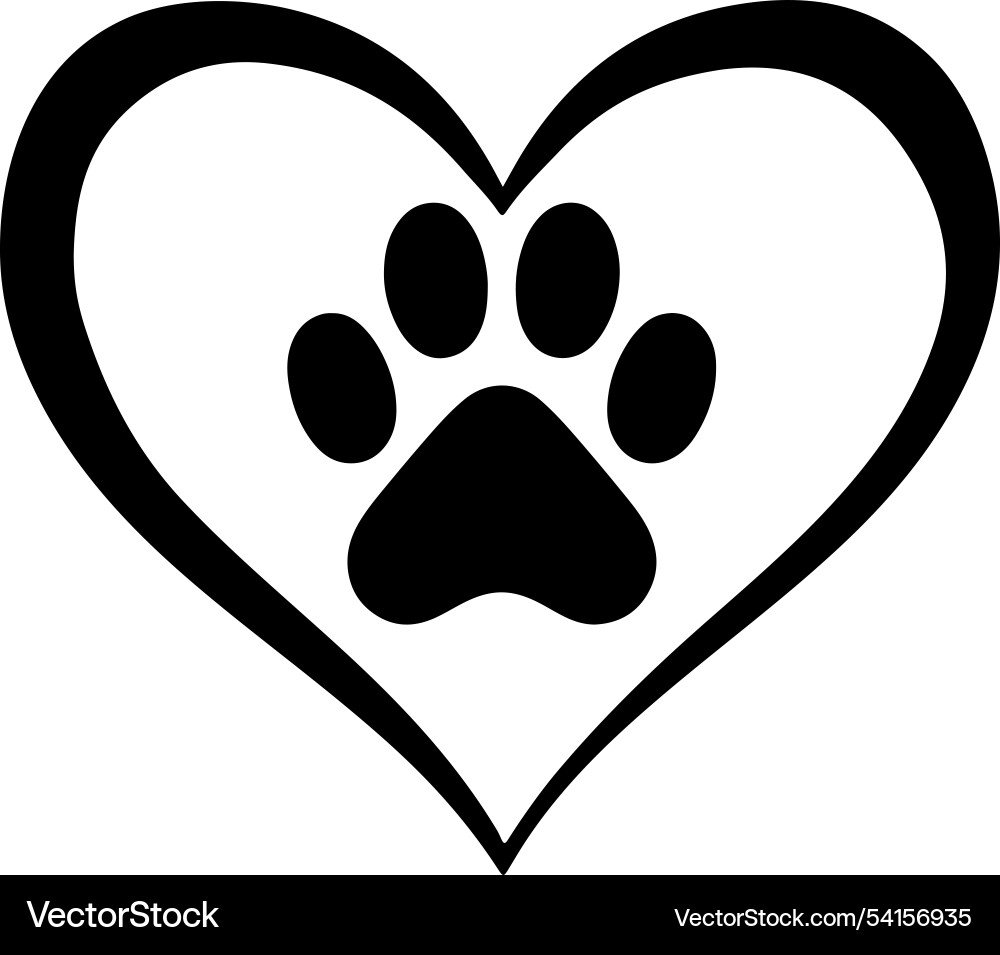 Elegant heart and paw print in calligraphy style vector image