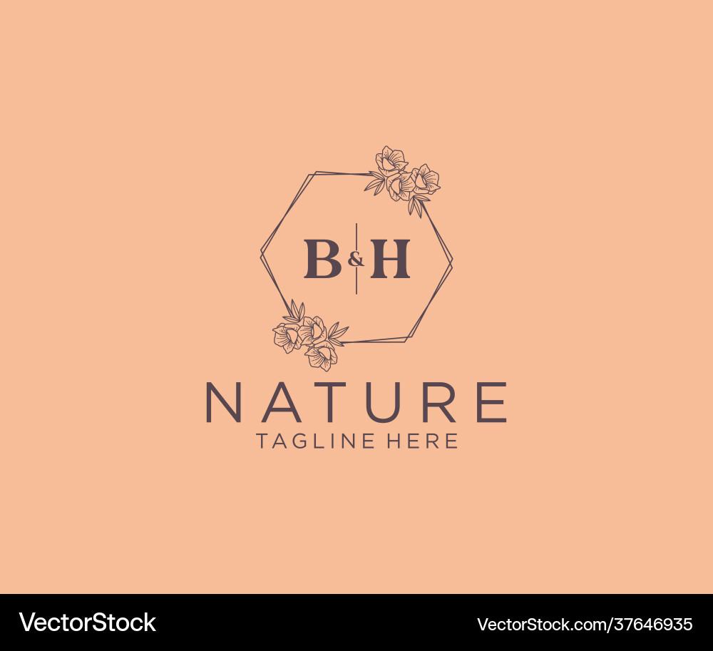 Prinitial bh letters floral frames botanical Vector Image