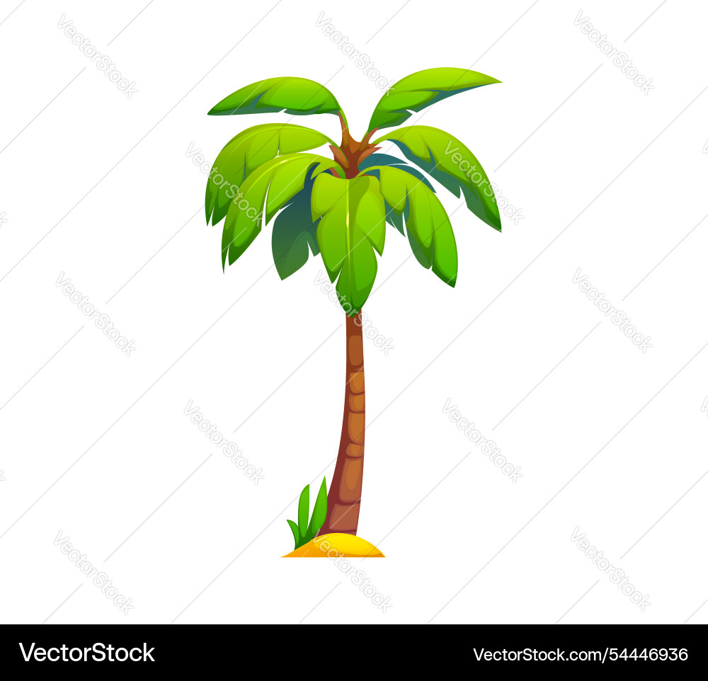 Cartoon jungle palm tree tropical forest plant Cartoon jungle palm tree tropical forest plant vector image