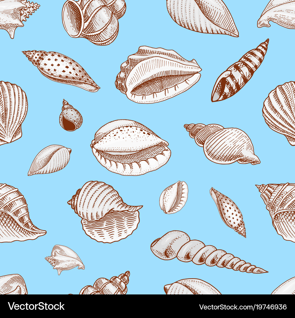 Seamless pattern shells or mollusca different vector image