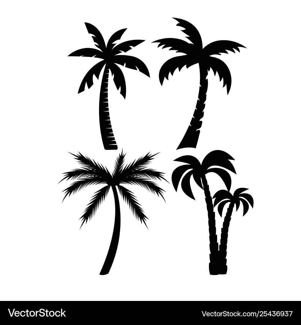 Palm trees black silhouettes set Palm trees black silhouettes set vector image