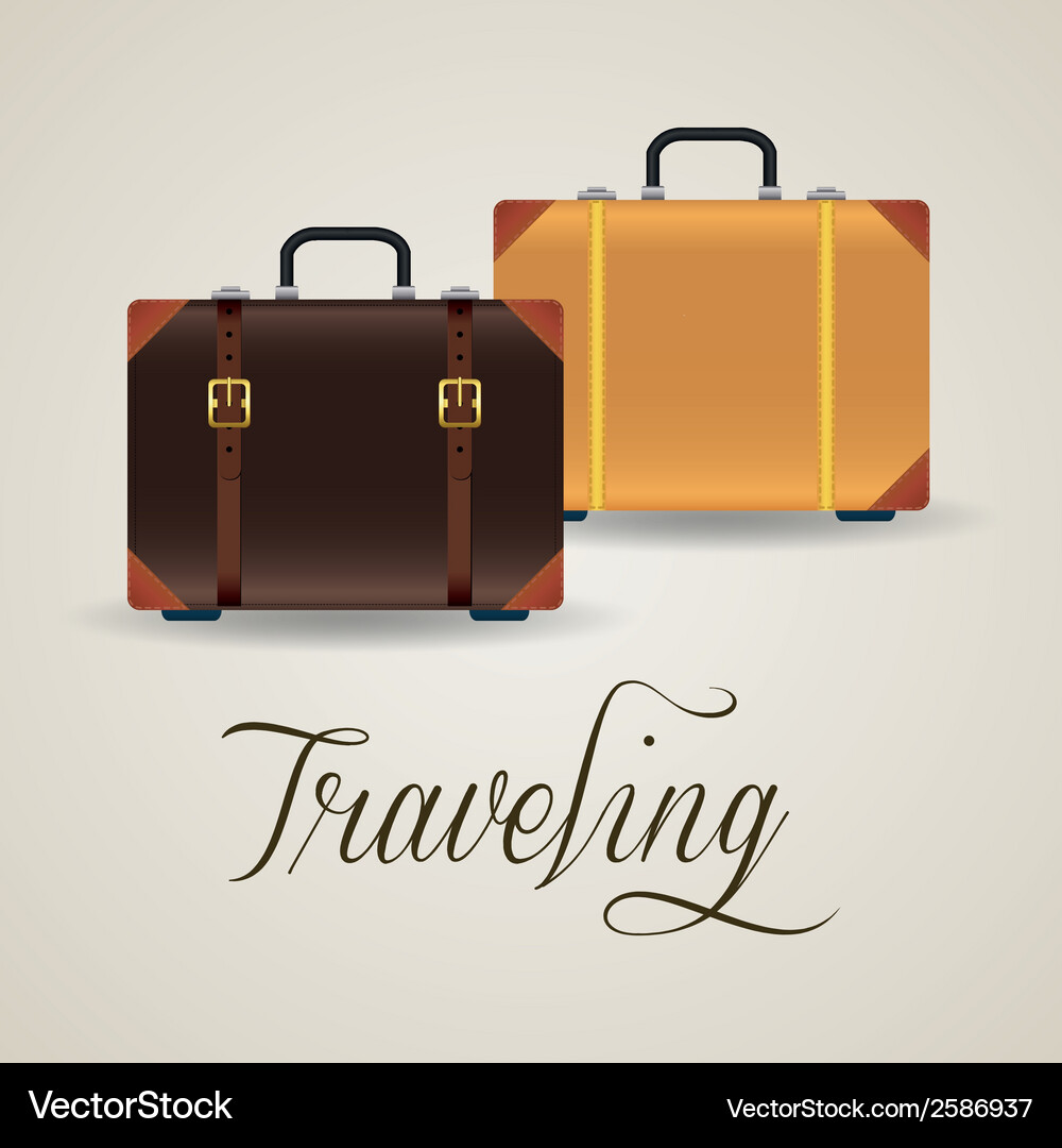 Two suitcases with different color on a white Vector Image
