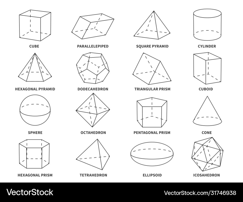 3D Geometric Shapes & Forms vector image