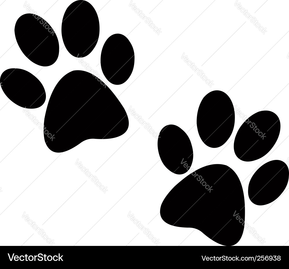 Cute Paw Prints Vector Image