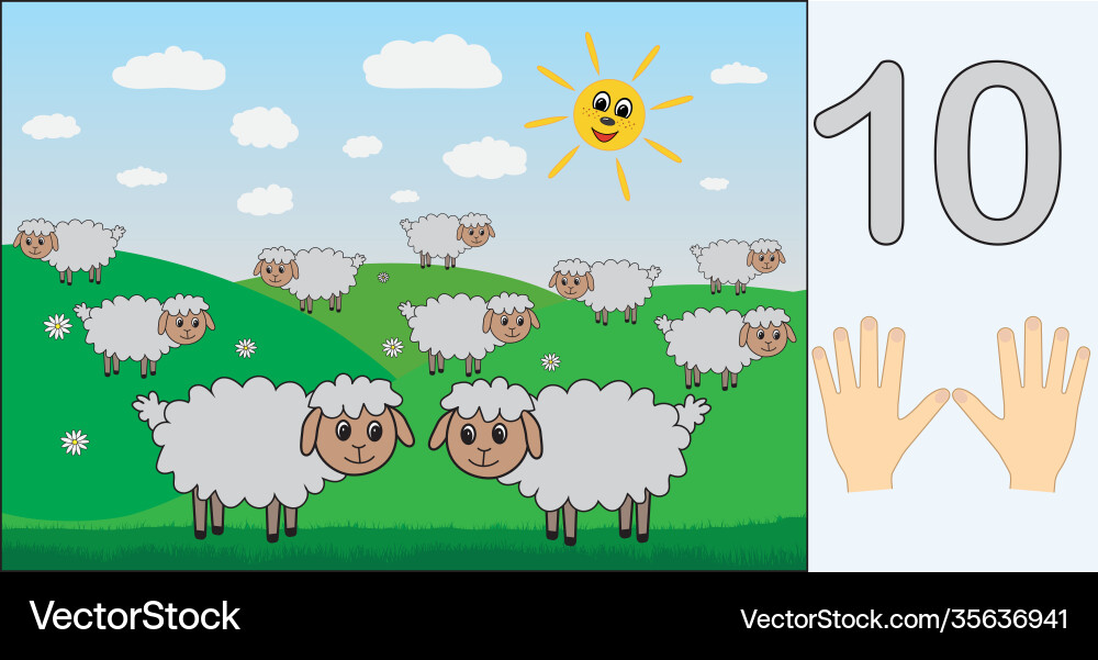 Sheep number 10 ten learning counting mathematics vector image