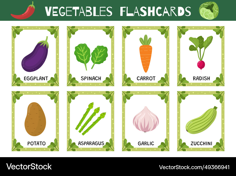 Vegetables flashcards set Vegetables flashcards set vector image