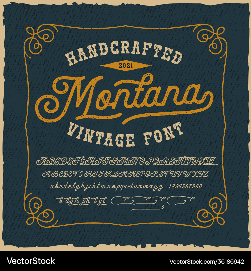 Vintage Script Font - Elegant & Rustic vector image