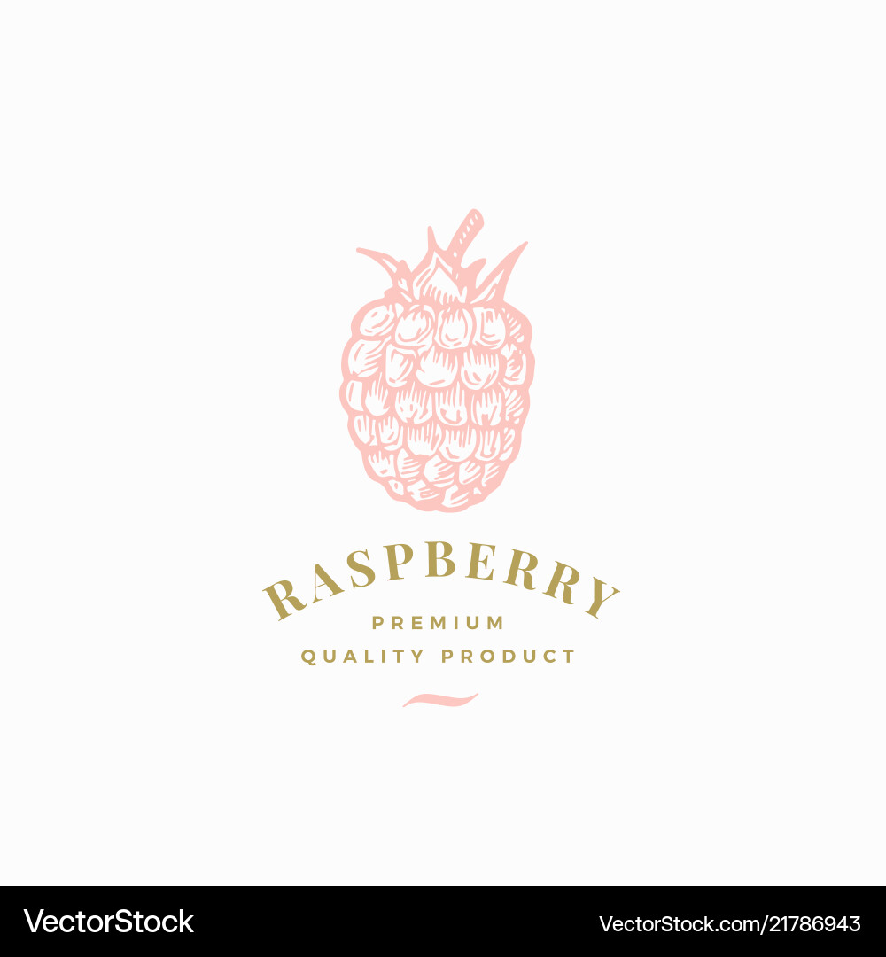Raspberry abstraktes Zeichen-Symbol oder Logo Raspberry abstraktes Zeichen-Symbol oder Logo vektorbild