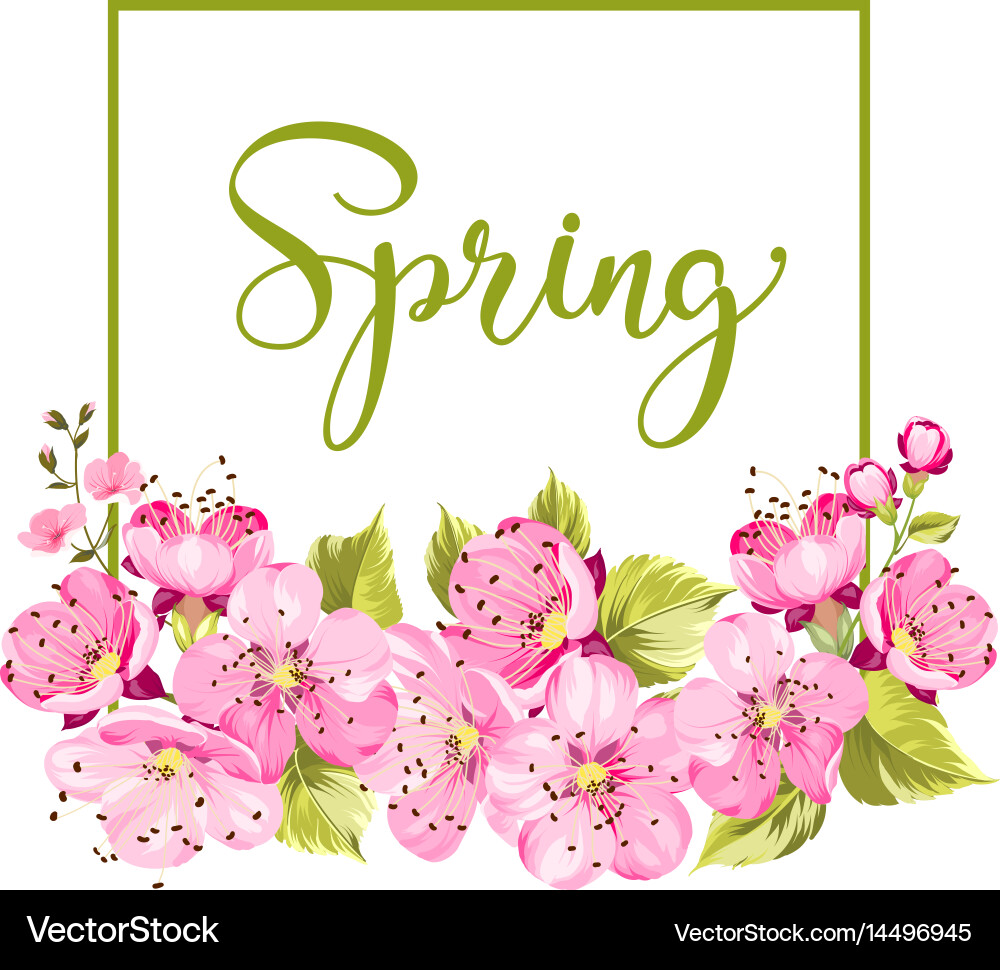 Spring flower card Royalty Free Vector Image - VectorStock