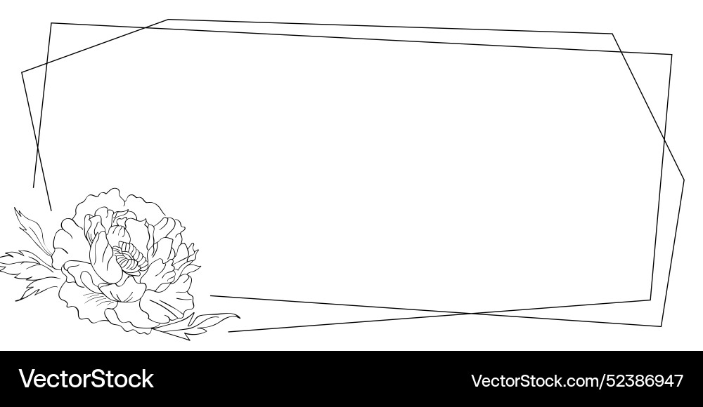 Frame with linear peony isolated Vector Image