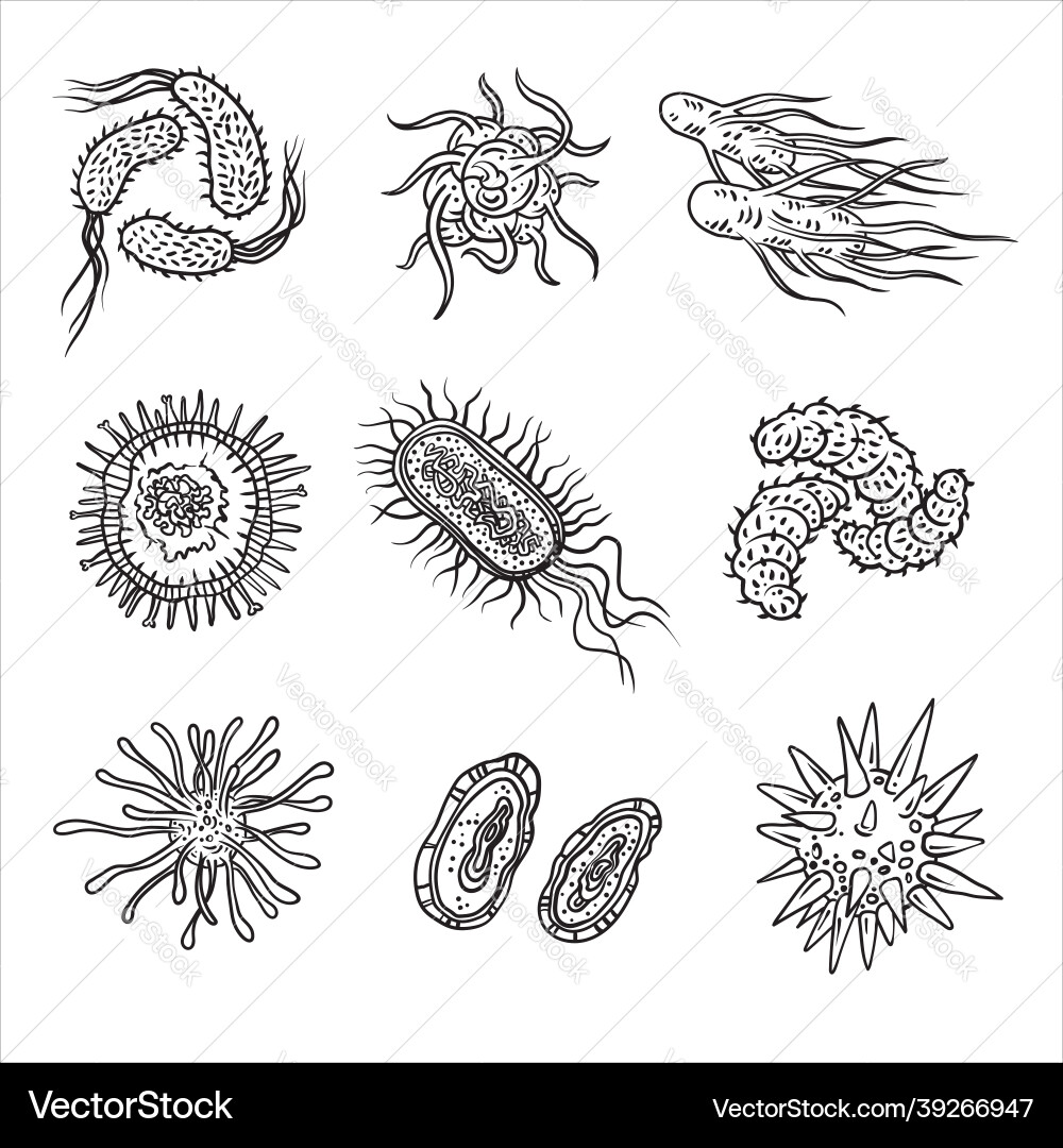 Simple set of bacteria virus icons for web design Simple set of bacteria virus icons for web design vector image