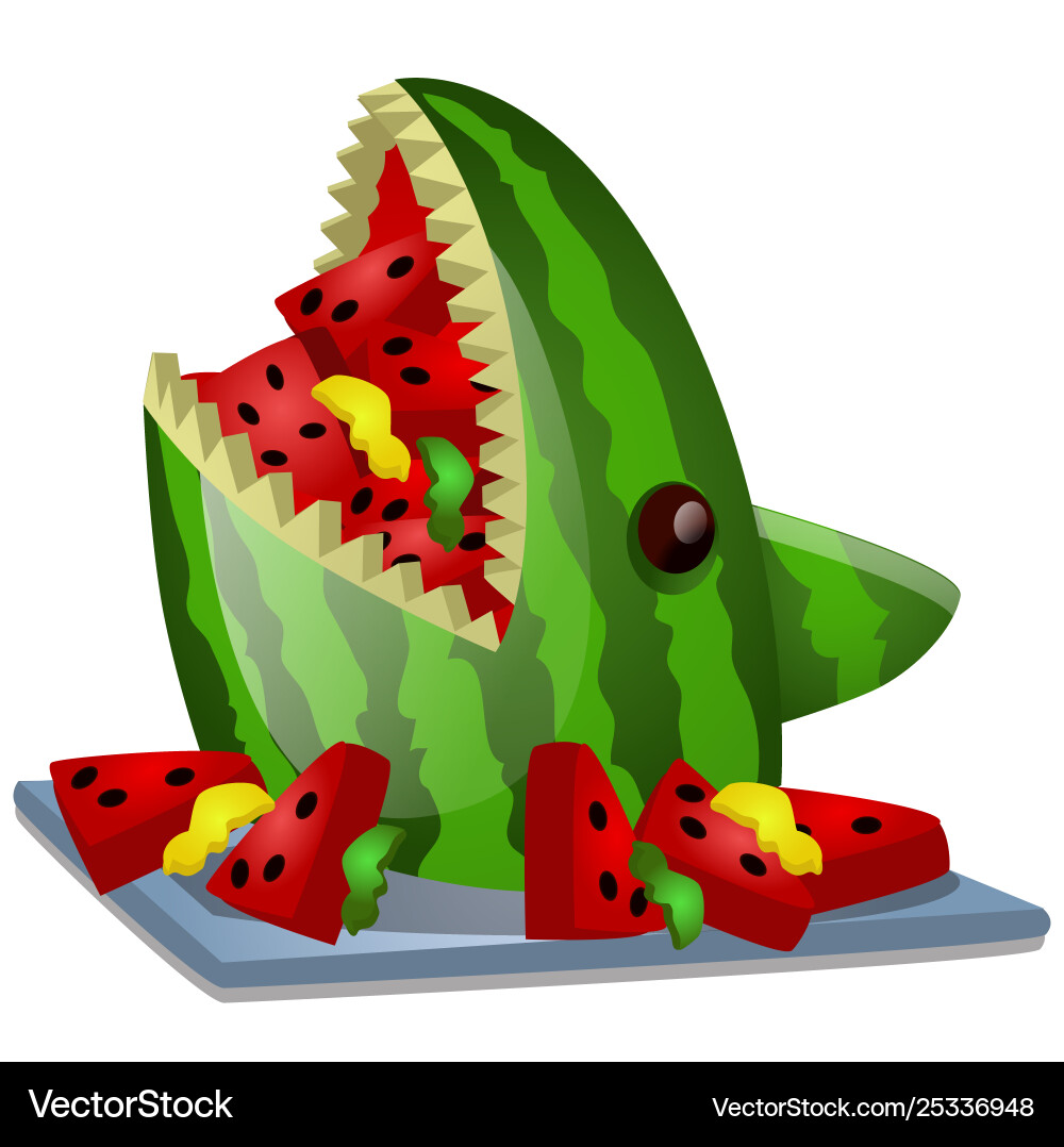 Ripe watermelon cut in shape a shark head vector image