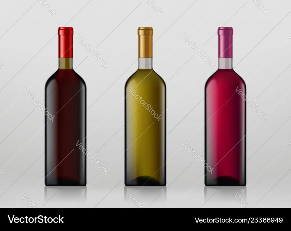 Set of wine bottles isolated on gray background vector image