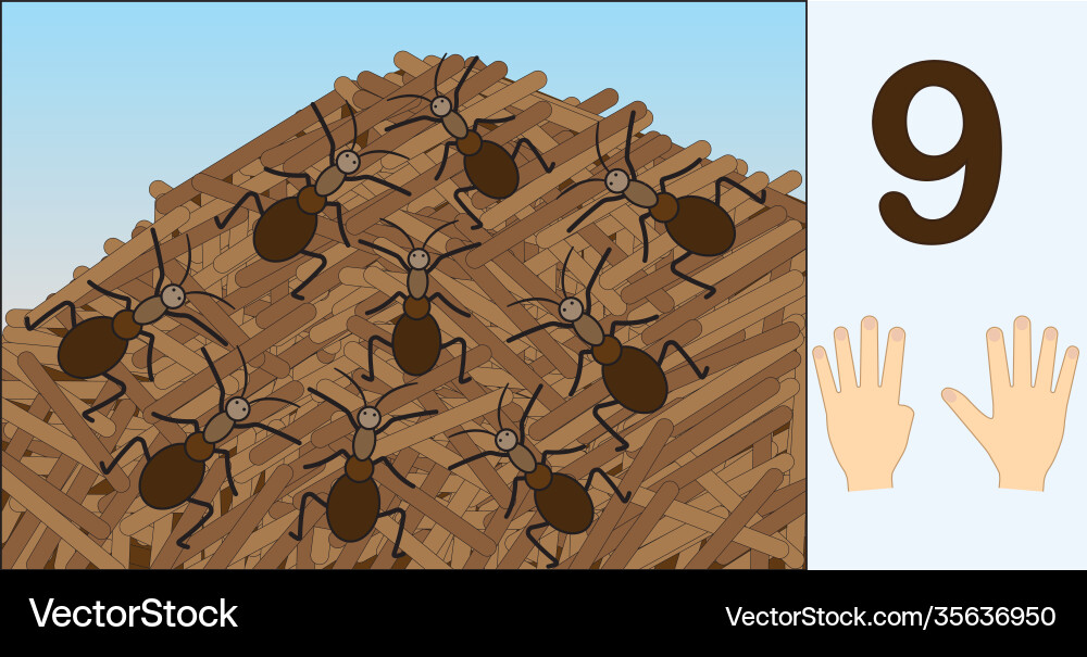 Ants number 9 nine learning counting mathematics Vector Image