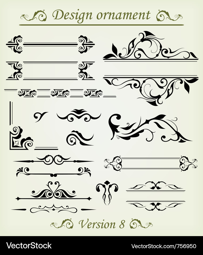 Calligraphic Elements & Flourishes vector image