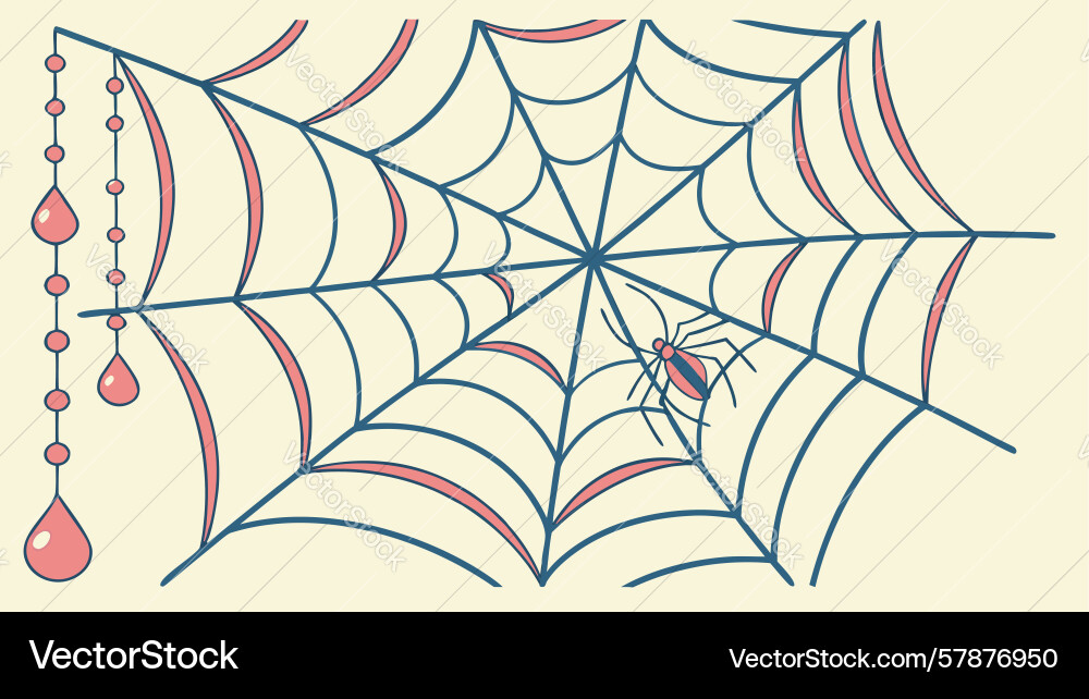Delicate spider web adorned with sparkling dew vector image