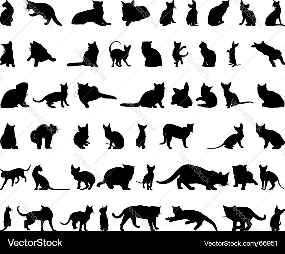 Cat Silhouettes Collection vector image