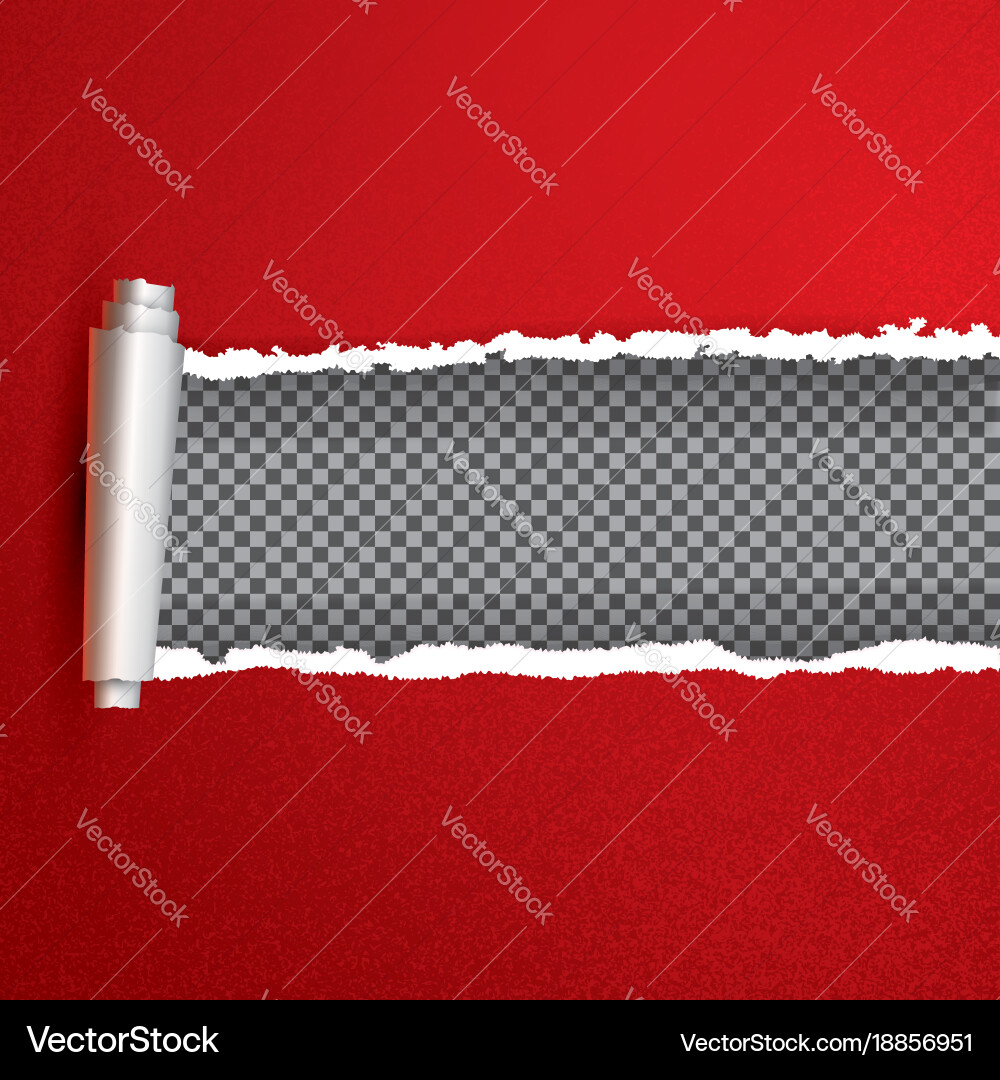 Realistic red torn open paper with copy space vector image